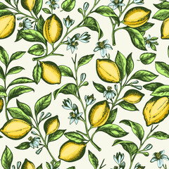 Vintage seamless pattern with lemon branch.