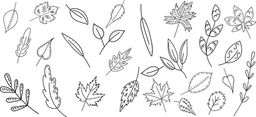 doodle leaves outline set, sketch on white background