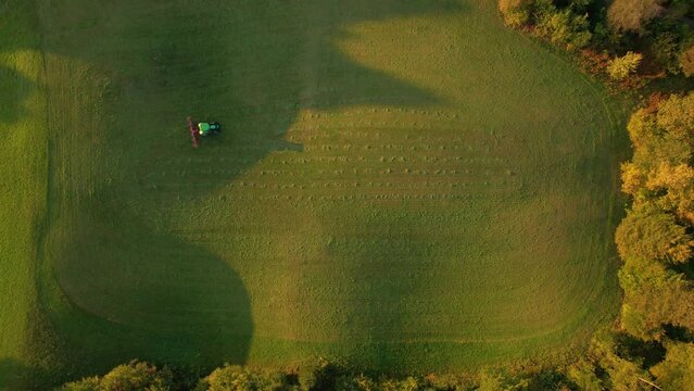 AERIAL, TOP DOWN: Farm tractor with hay tedder turning over mowed hay in autumn. Farmer aerating grass to speed up drying at sunrise on an autumn morning. Preparing fodder for cows in fall season.