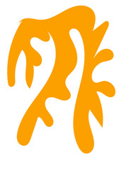 Abstract Shape Organic