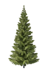 Poster Spruce tree isolated on the transparent background © Max Sergovskiy