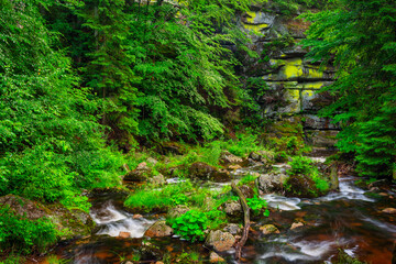 A beautiful mountain stream in the Karkonosze Mountains, Poland