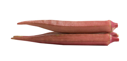 Okra or abelmoschus esculentus isolated on white background.