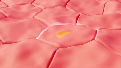 Aged skin structure that is regenerated with an oil and collagen treatment. 3d rendering of medicine and aesthetic therapies of cellular rejuvenation and molecular repair science.