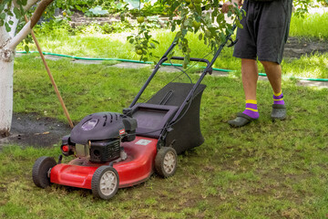 middle aged handsome man wearing home clothes is cutting the lawn, process to cut the grass at the yard with special machine lawn mover, green garden