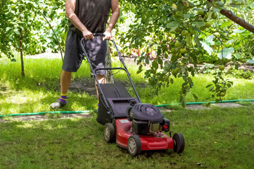 middle aged handsome man wearing home clothes is cutting the lawn, process to cut the grass at the yard with special machine lawn mover, green garden