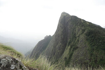 landscape in the morning