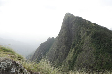 landscape in the morning
