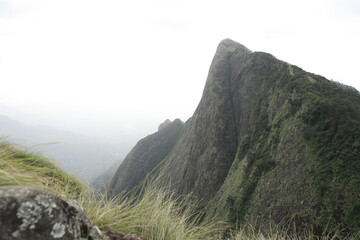 landscape in the morning, A beautiful view of the highest tea garden in the world.