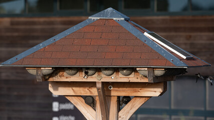 Delichon urbicum - Northern House-Martin - Hirondelle de fenêtre