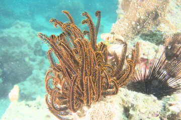 Beautiful scenery from around the world
