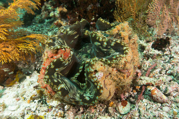 Beautiful scenery from around the world
