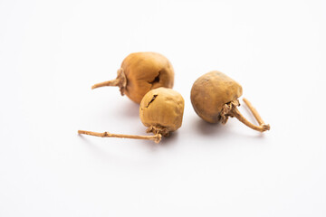 Ayurvedic Choti Kateli also known as Kantkari or Solanum Surattense dried and powder form