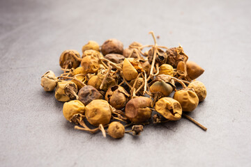 Ayurvedic Choti Kateli also known as Kantkari or Solanum Surattense dried and powder form