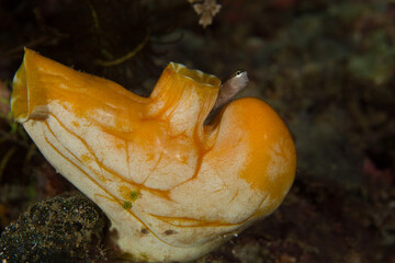 Beautiful scenery from around the world
