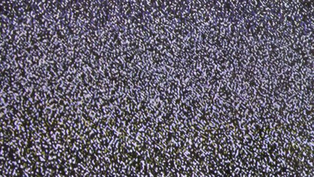 Close up view at a plasma tv while showing television white noise.