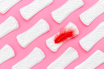 White panty liners with red feather. Menstruation period and daily hygiene