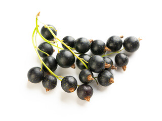 Black currants with leaves isolated on white background with clipping path