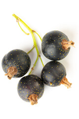 Black currants with leaves isolated on white background with clipping path