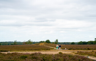 People visiting a tumulus on the heath near Ermelo, Netherlands
