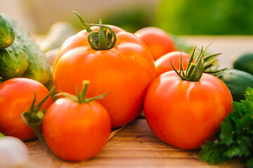 Fresh vegetables on a wooden background. Cucumbers, tomatoes, garlic, dill. Contoured sunlight. Organic farm. Organic vegetables. Summer harvest.