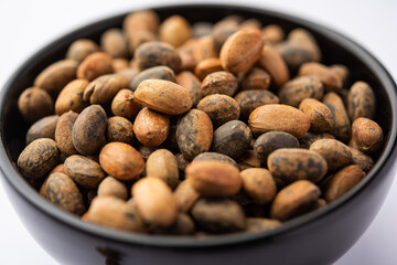 Jamalgota or Jayapala - Croton tiglium seed is an Ayurvedic medicine also known as purging croton © StockImageFactory