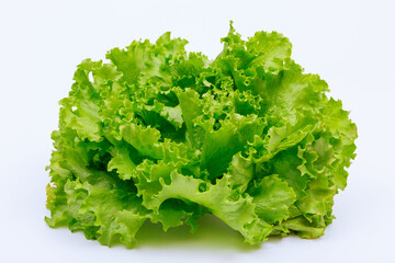 Lettuce leaves on a white background close up.