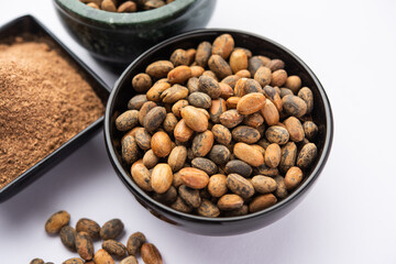 Jamalgota or Jayapala - Croton tiglium seed is an Ayurvedic medicine also known as purging croton © StockImageFactory