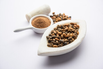 Jamalgota or Jayapala - Croton tiglium seed is an Ayurvedic medicine also known as purging croton © StockImageFactory
