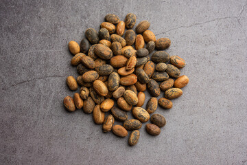 Jamalgota or Jayapala - Croton tiglium seed is an Ayurvedic medicine also known as purging croton © StockImageFactory