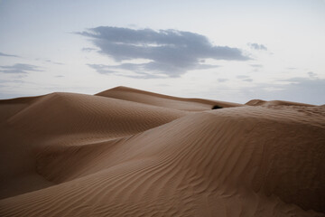 sand dunes in the desert