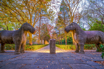Ming Xiaoling Scenic Area in Nanjing, Jiangsu Province, China in autumn