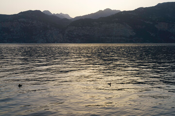 The Garda lake at Malcesine