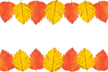 Border frame of colorful autumn leaves