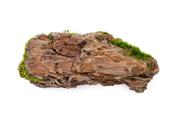 Piece of natural old pine bark with moss isolated on white