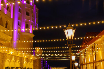Obraz premium Night landscape with palm branches on the background of lanterns
