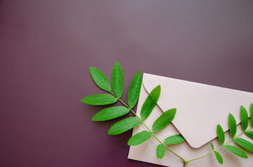 Flatlay  horizontal light pink patchel envelope with a mockup on a dark purple background , Flat lay  in the processing of rowan leaves with a large copyspace