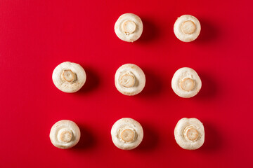 Eight mushrooms. Ingredients for English breakfast.