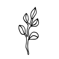 Vector trend branch with oval leaves. Botanical illustration in a minimalist style
