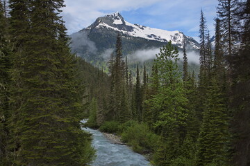 Morning at Illecillewaet River in Glacier National Park in British Columbia,Canada,North America
