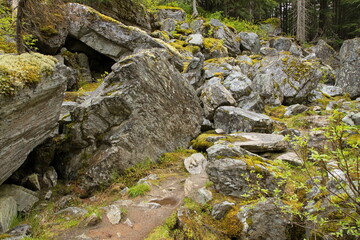 Rockgarden Trail in Glacier National Park in British Columbia,Canada,North America
