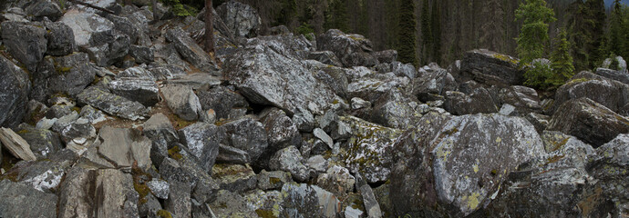 Rockgarden Trail in Glacier National Park in British Columbia,Canada,North America
