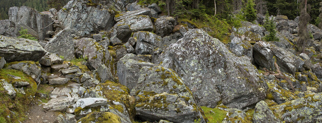 Rockgarden Trail in Glacier National Park in British Columbia,Canada,North America
