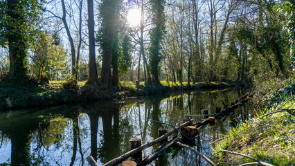 Spreewald