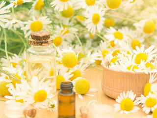 Essential oil in a glass bottle with fresh chamomile flowers. spa concept. chamomile flowers oil on a wooden table