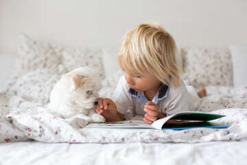 Cute little blond child, toddler boy, reading book with white puppy maltese dog