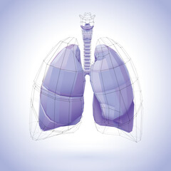 Obraz premium 3D illustration of a human lung polygon covered with purple tones and a heart-shaped black net. For medical and commercial use