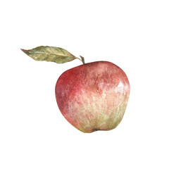 watercolor illustration of red appetizing apple with leaves isolated