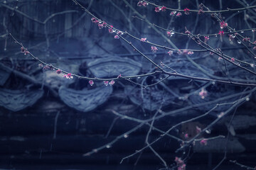 background with space for text