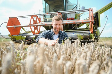 Farmer Standing In Wheat Field At Harvest